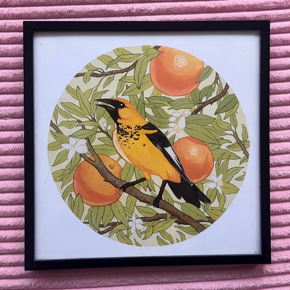 Bird Framed Print